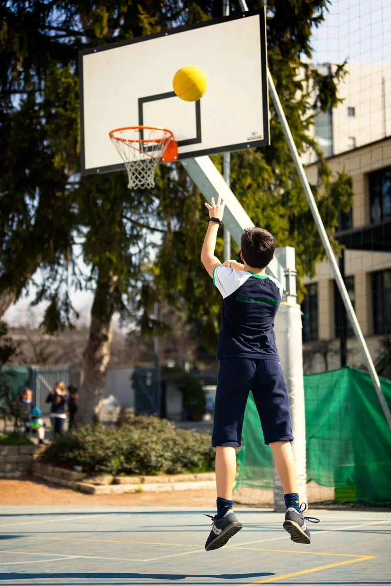 Basket